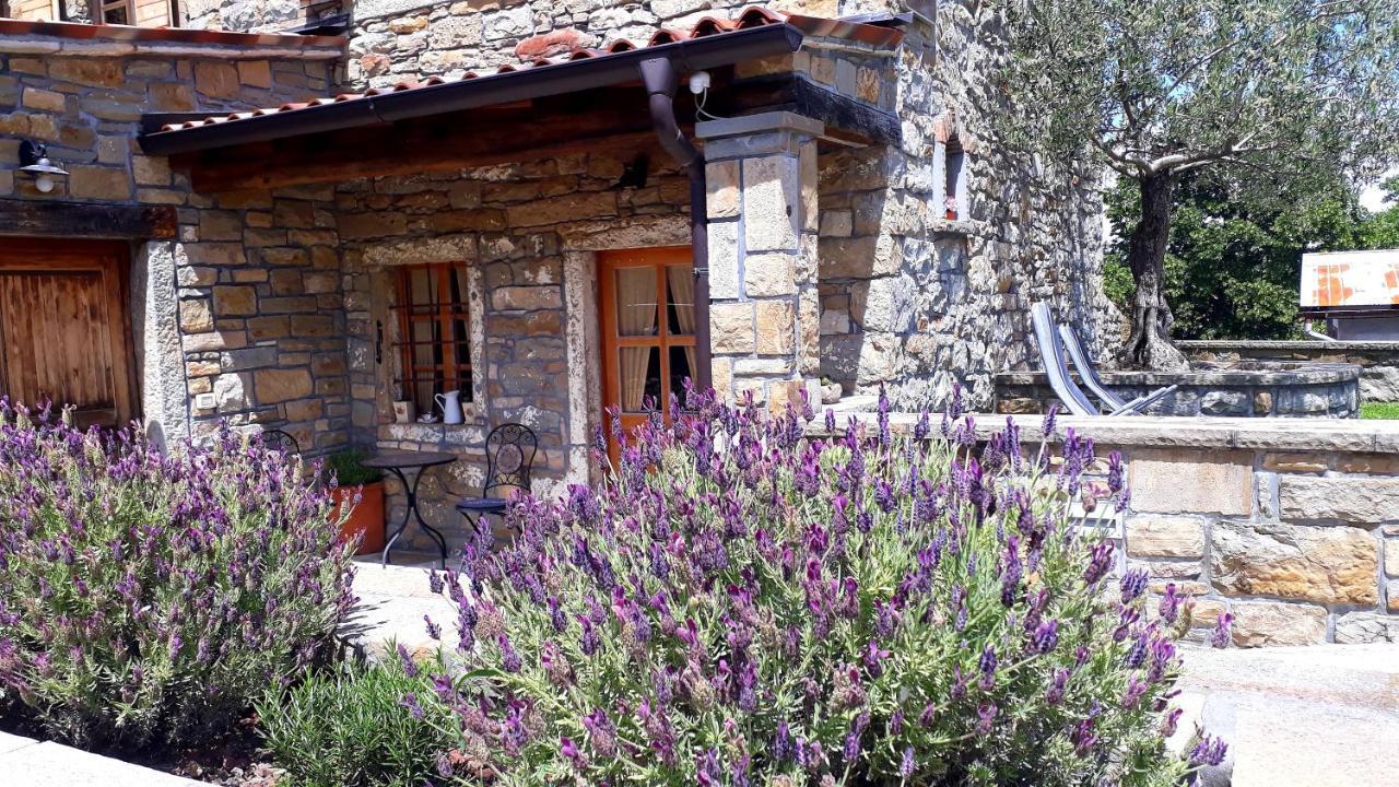 Wine House Rakar ξενώνας Gračišče Εξωτερικό φωτογραφία