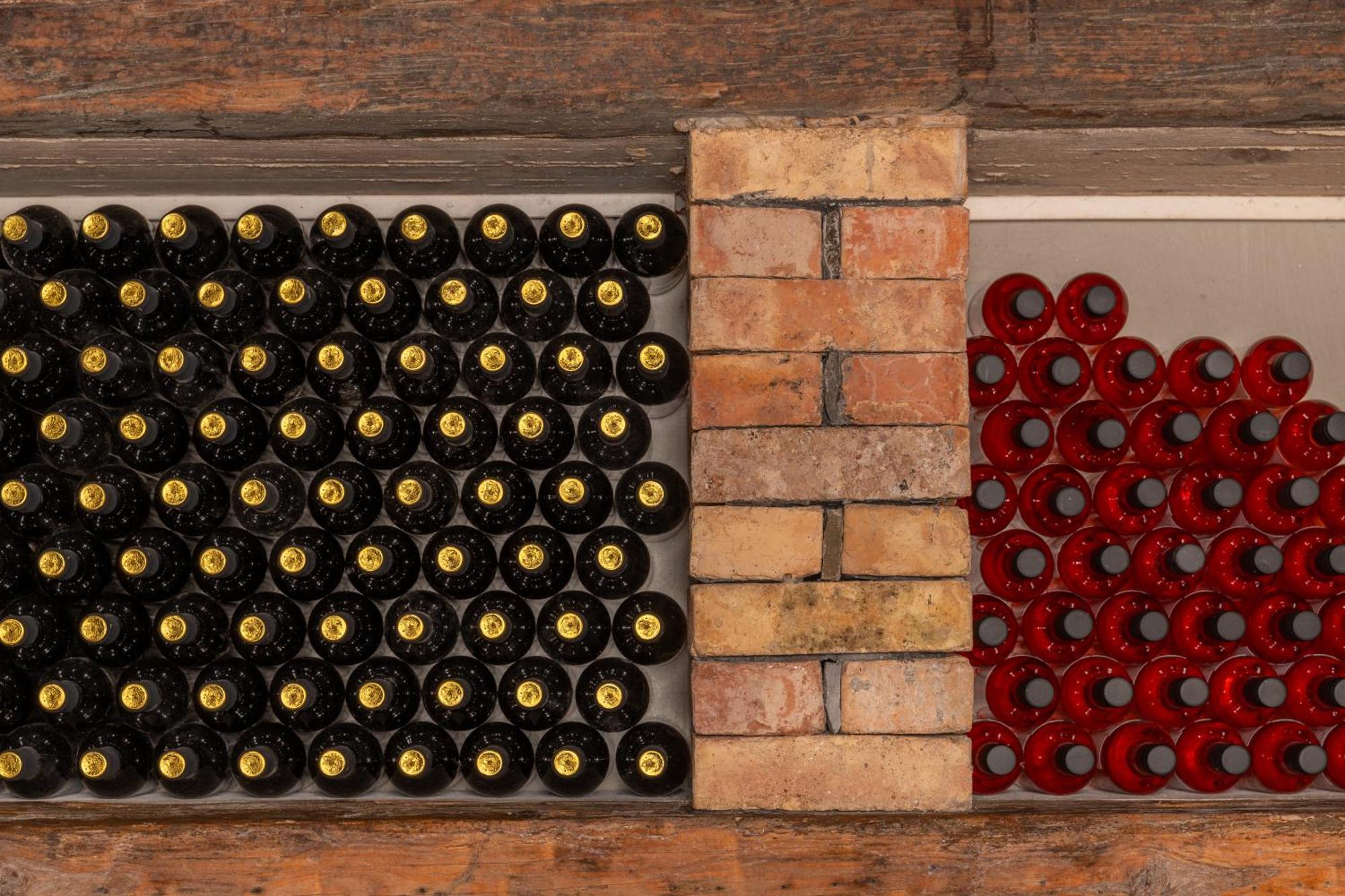 Wine House Rakar ξενώνας Gračišče Εξωτερικό φωτογραφία