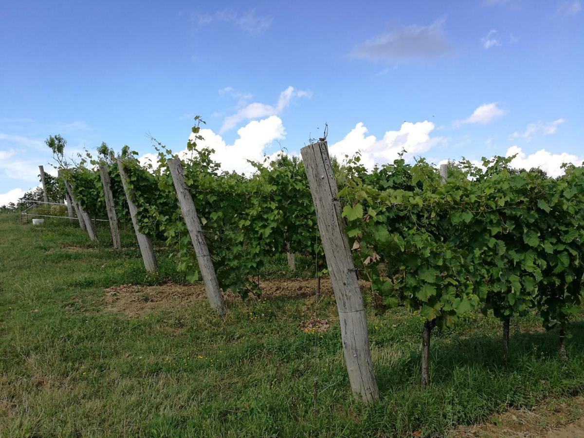 Wine House Rakar ξενώνας Gračišče Εξωτερικό φωτογραφία